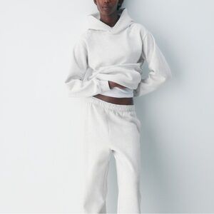 Aritzia Cozy Sweatfleece Hoodie
